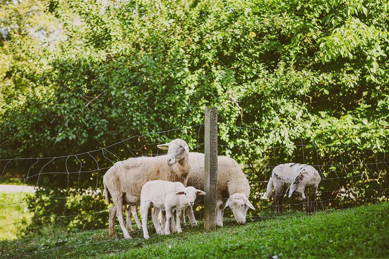 Tourist Farm Samec Sele Exterior foto